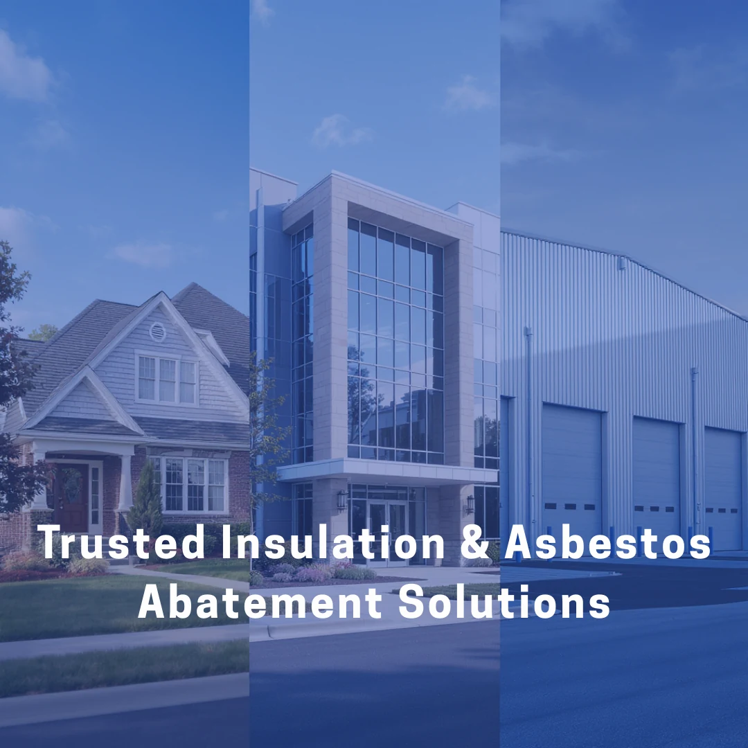 Professional Insulation and Abatement Services